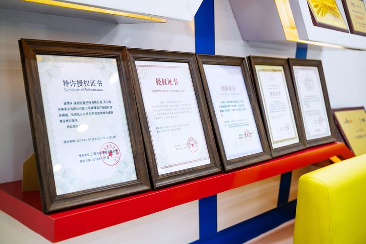聚焦核心業務 計算機軟件開發與銷售的戰略價值
